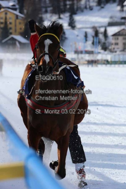 ET0Q0610 prot